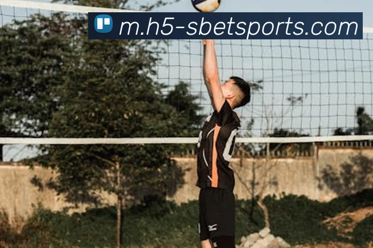 多媒体互动体验