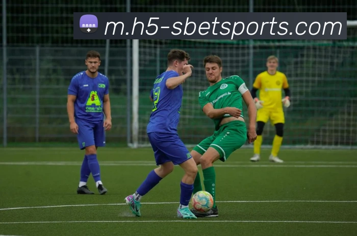 体育下注APP 体育赛事宣传图